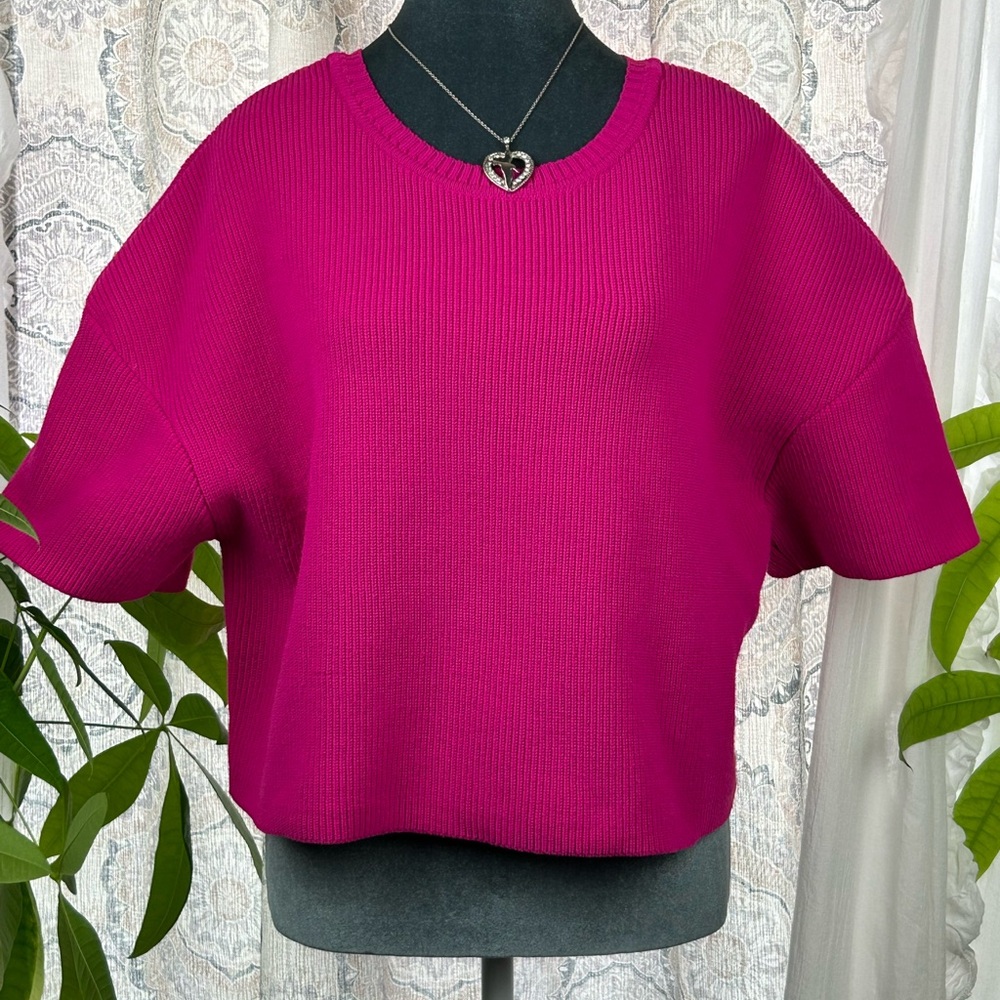 Express |  Vibrant Pink Sweater | Medium